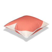 Element Abstract Earth  - 45×45cm Outdoor Pillow