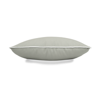 Element Sage - Outdoor Pillow