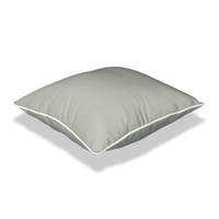 Element Sage - Outdoor Pillow