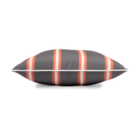 Element Stripe Earth  - 45×45cm Outdoor Pillow